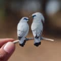 Shrimali Chudasama Miniature Birds Design