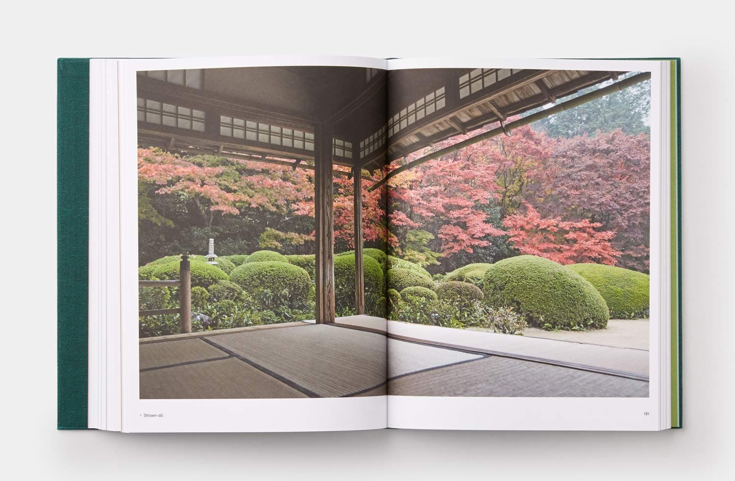 Sophie Walker - Japanese Garden Design