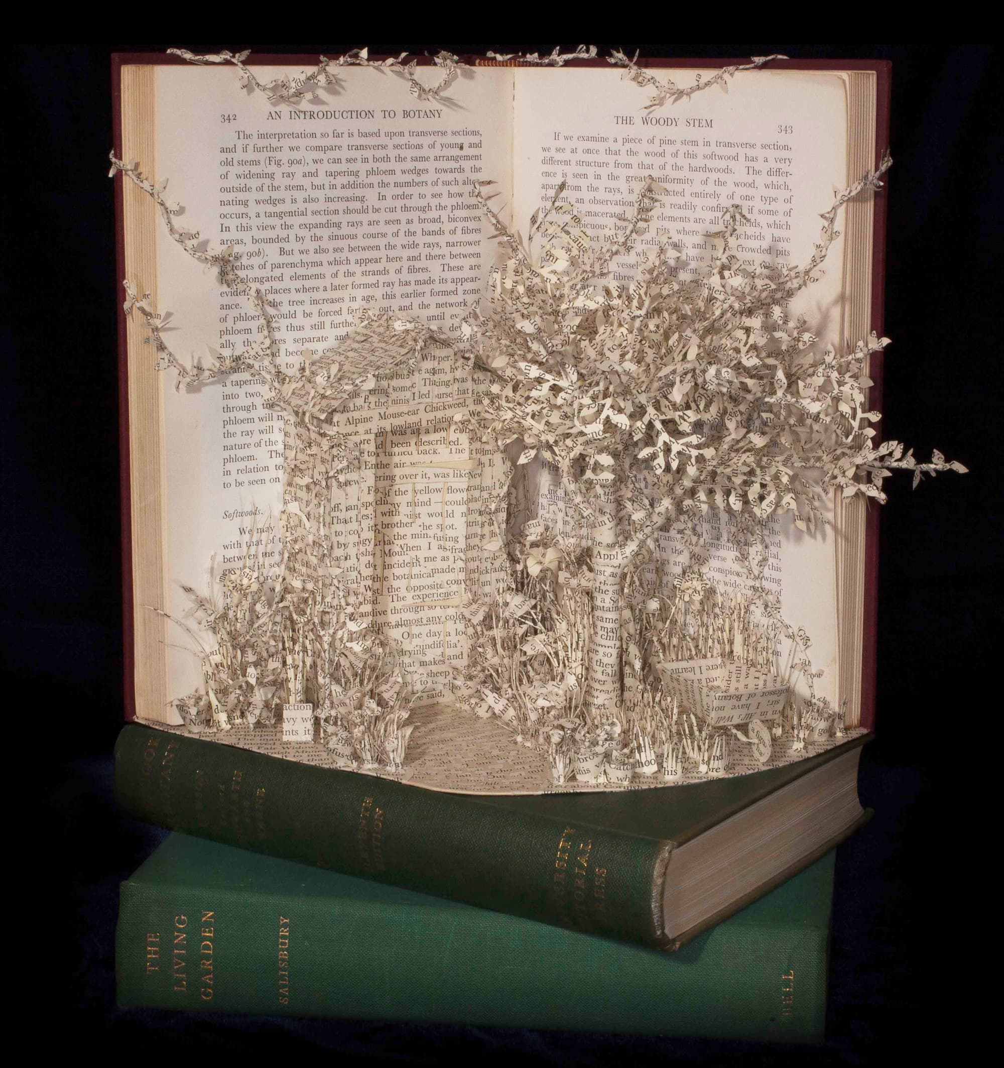 Emma Taylor Papierskulpturen aus alten Büchern