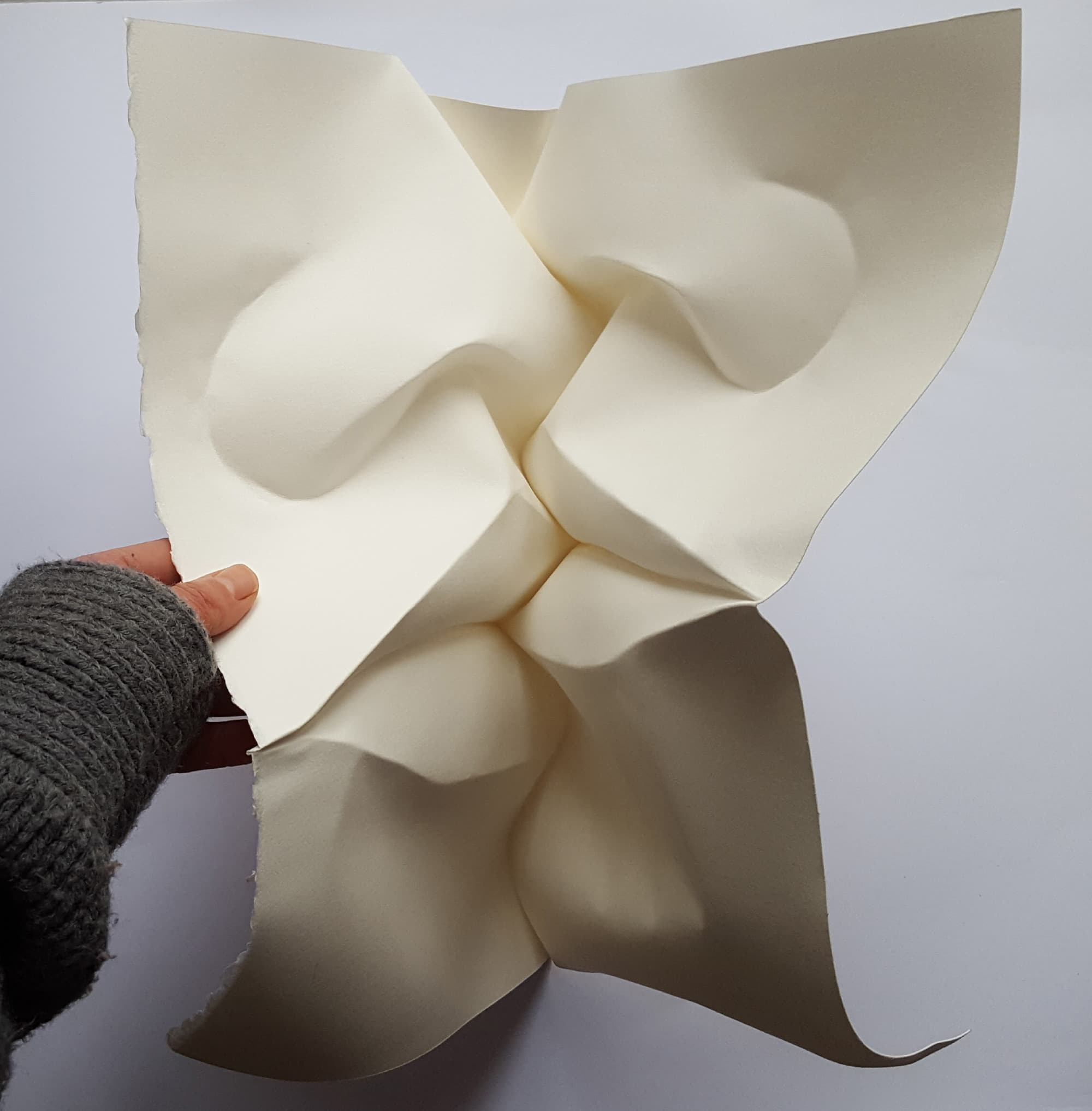Polly Verity Papierskulpturen Design