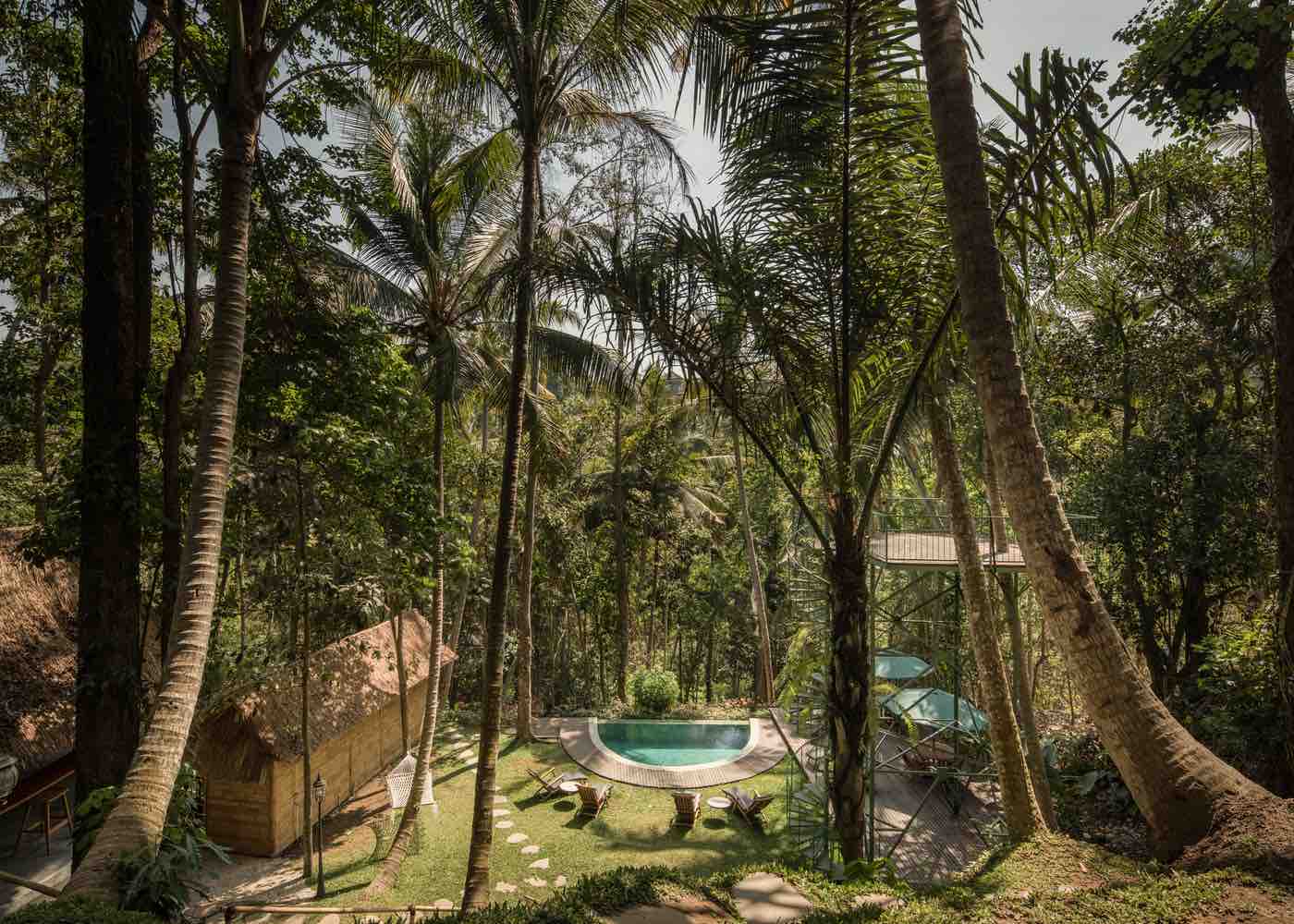 Alexis Dornier - Treehouse Hotel in Bali